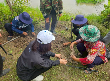 สำนักงานสหกรณ์จังหวัดเชียงราย จัดกิจกรรมปลูกพืชสมุนไพร ... พารามิเตอร์รูปภาพ 39